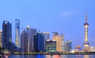 上海自由貿(mào)易港區(qū)對(duì)國(guó)際最高開(kāi)放標(biāo)準(zhǔn)