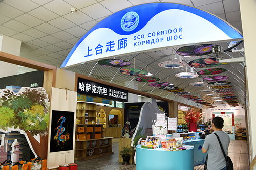 務實合作 互利共贏 中國上海合作組織地方經貿合作示范區五周年觀察